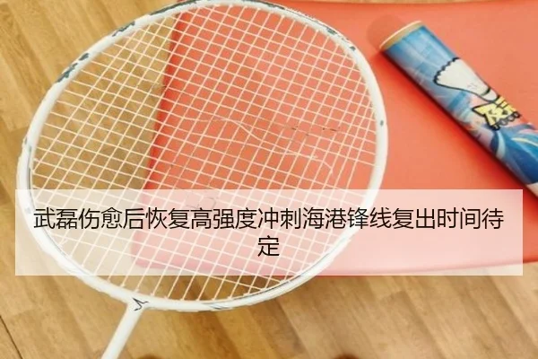 武磊伤愈后恢复高强度冲刺海港锋线复出时间待定